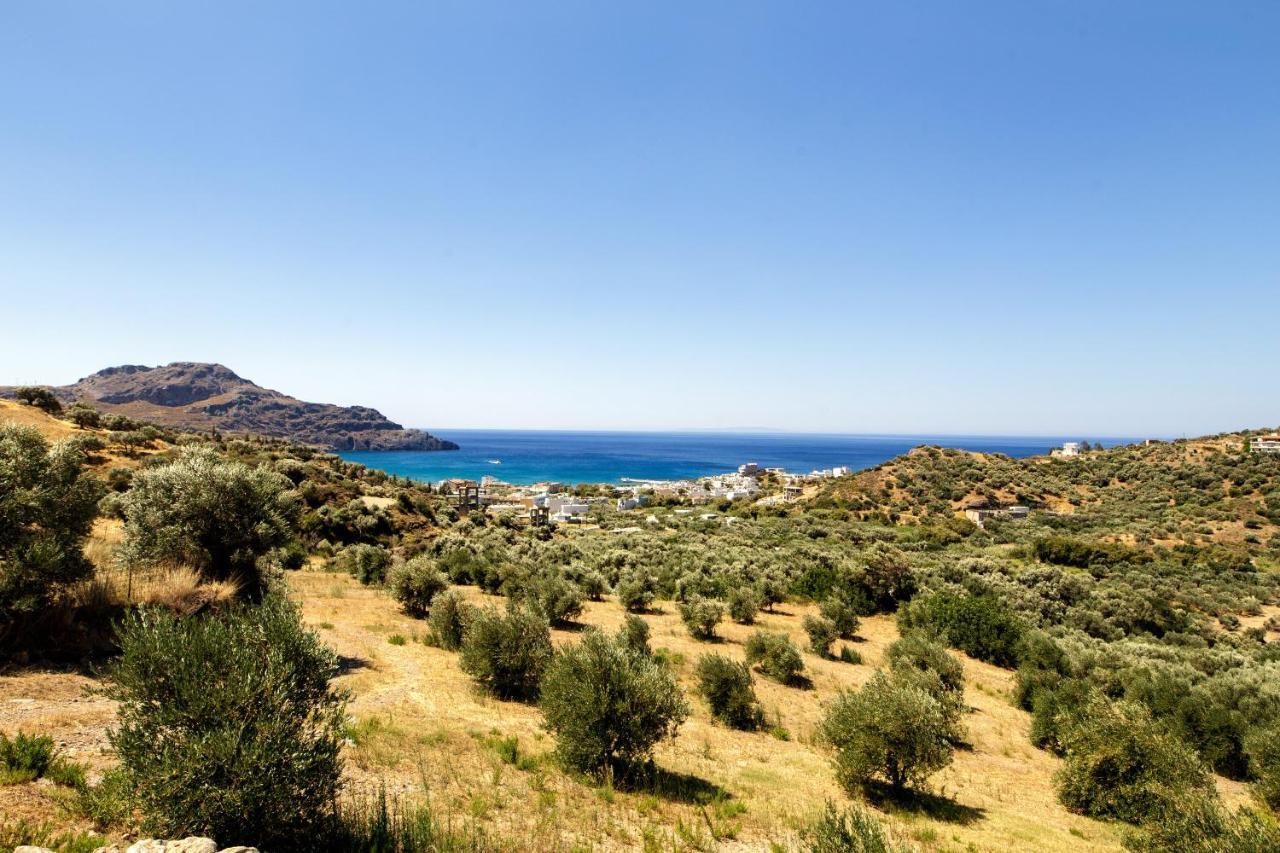 Almond Cottage With A Sea View Above بلاكاس المظهر الخارجي الصورة