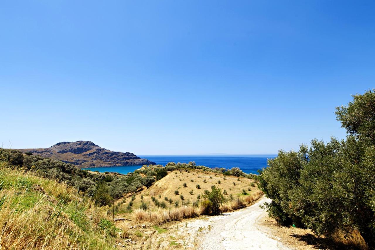 Almond Cottage With A Sea View Above بلاكاس المظهر الخارجي الصورة